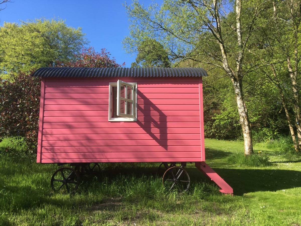 Blackstairs Shepherds Huts Killedmond Eksteriør billede