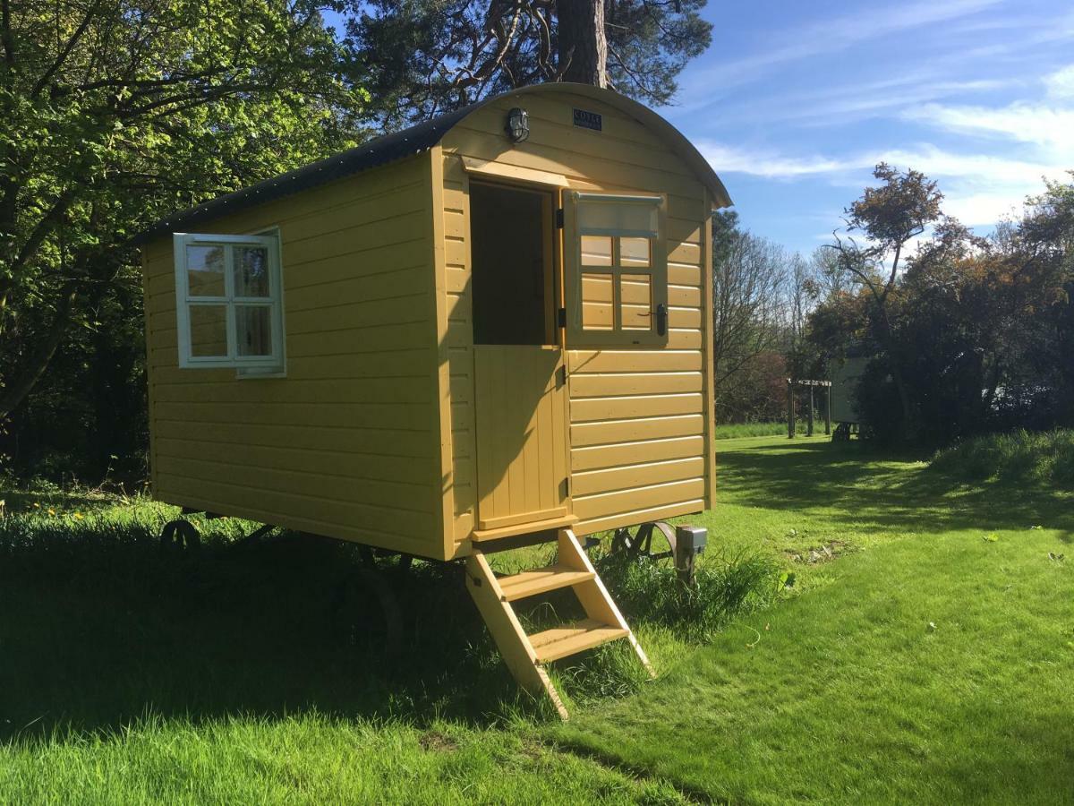 Blackstairs Shepherds Huts Killedmond Eksteriør billede